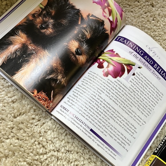 TWO Yorkshire Terrier Breed Care Manuals - Picture 5 of 12